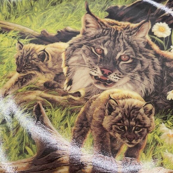 Bradford Exchange Greg Beecham Plate Lynx Reassuring Gaze NIP 8” - Picture 3 of 7